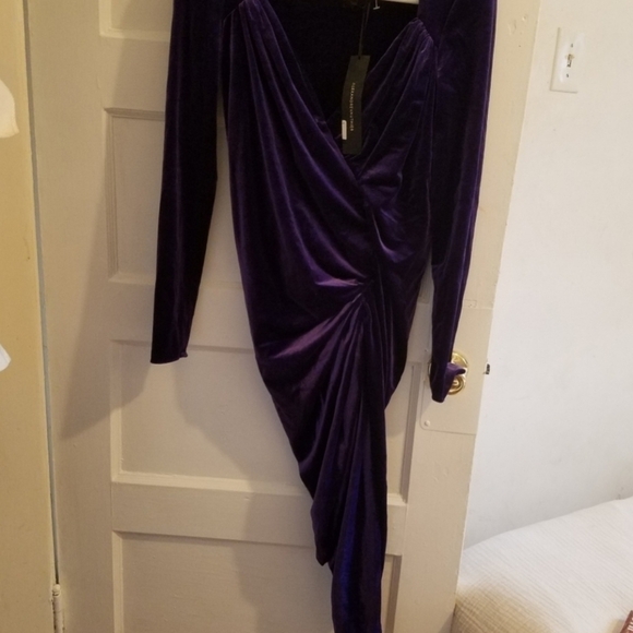 Deep Purple Alexander Vauthier Dress - Picture 11 of 11